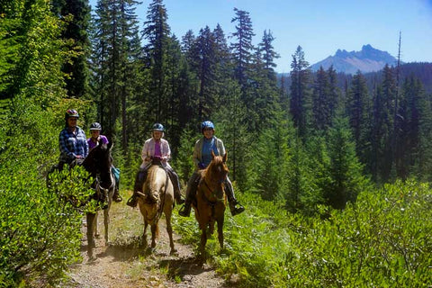 Big Meadows Loop at Big Meadows Horse Camp