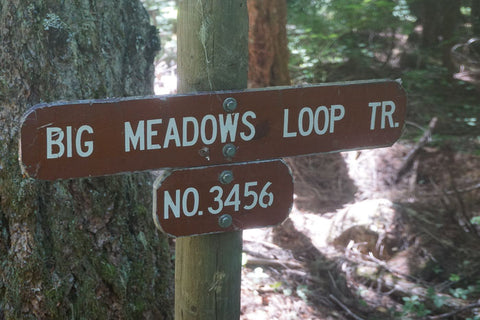 Big Meadows Loop at Big Meadows Horse Camp