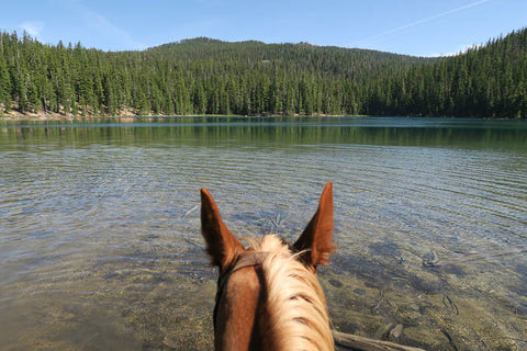 Calamut Lake