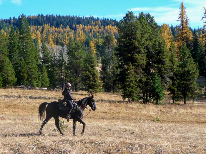 Corral Flat – NW Horse Trails