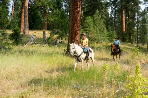 Coyle Butte Loop at Corral Flat