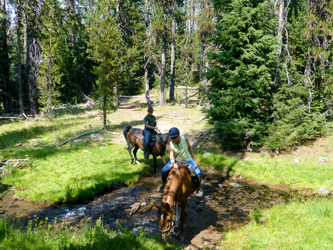 Diamond Lake Horse Trails
