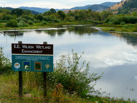 E.E. Wilson Wildlife Area