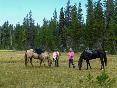 Falls Creek Horse Camp