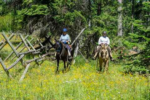 Gibson Prairie Horse Camp