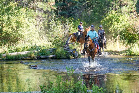 Head of Jack Creek from Sheep Springs Horse Camp