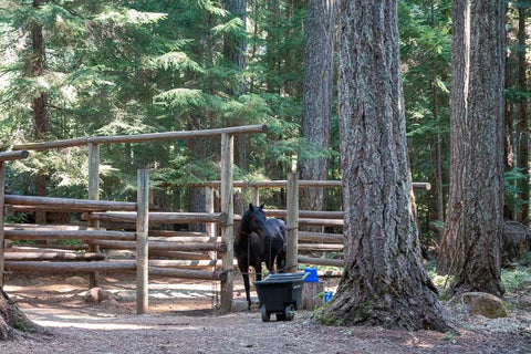 Joe Graham Horse Camp