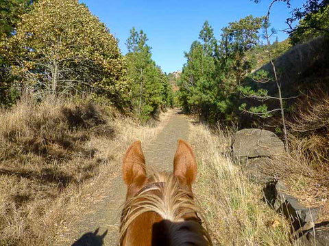 Klickitat Trail