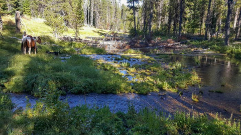 Lemolo Segment, North Umpqua Trail