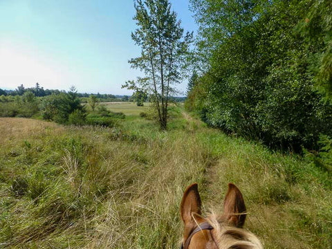 Lewis and Clark State Park