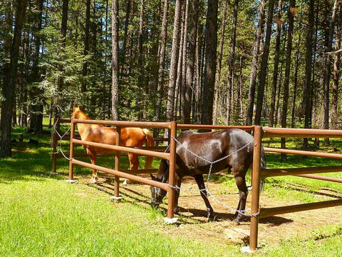 Lily Glen Equestrian Park