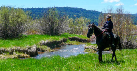 Lily Glen Equestrian Park