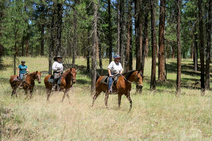 Metolius River Trail, Sheep Springs Horse Camp