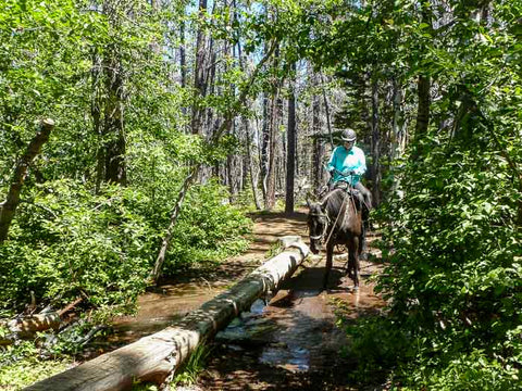 Millican Crater/Matthieu Lakes Loop