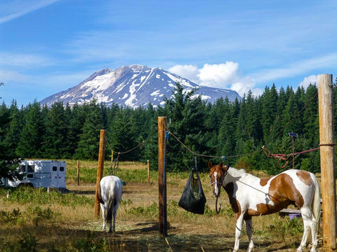 Horsemen's Loops, Mt. Adams Horse Camp