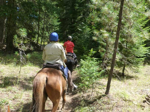 Mt. Adams Horse Camp