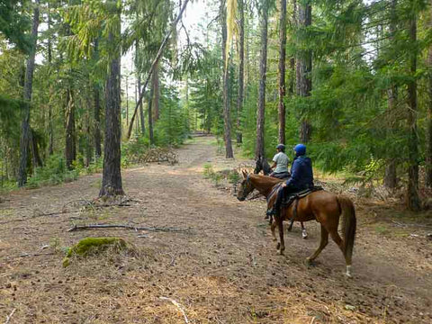Horsemen's Loops, Mt. Adams Horse Camp
