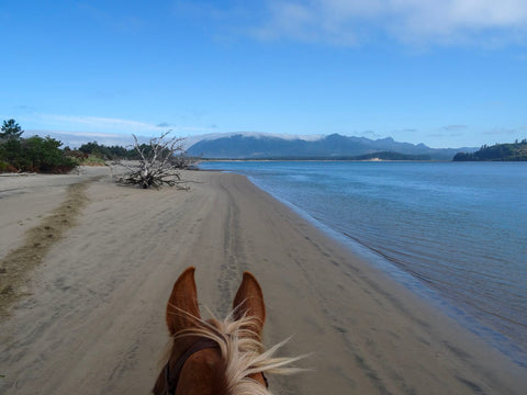 Nehalem Bay State Park