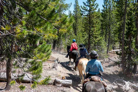 Newberry Crater — South Rim Loop – NW Horse Trails
