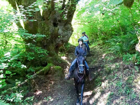 Northrup Creek Horse Camp