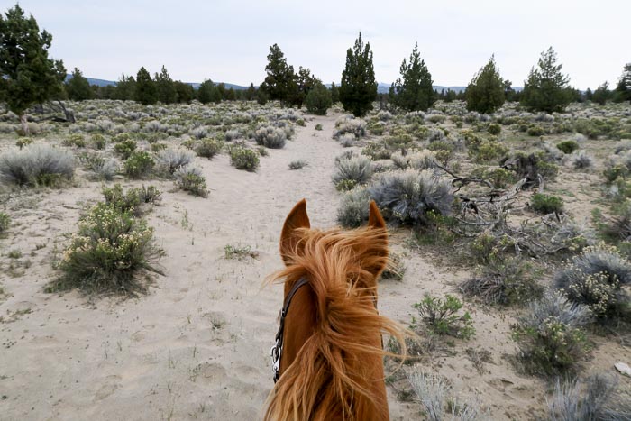 Dry River Loop, Oregon Badlands Wilderness