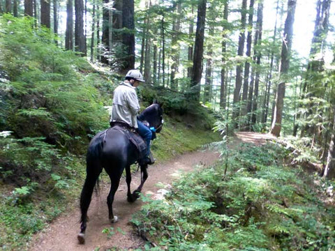 Packwood Lake