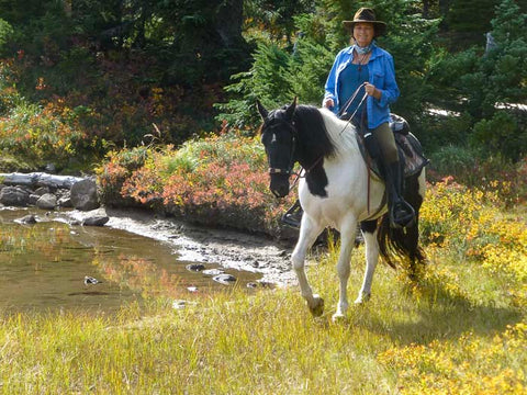 Indian Heaven Wilderness, Placid Lake Trailhead