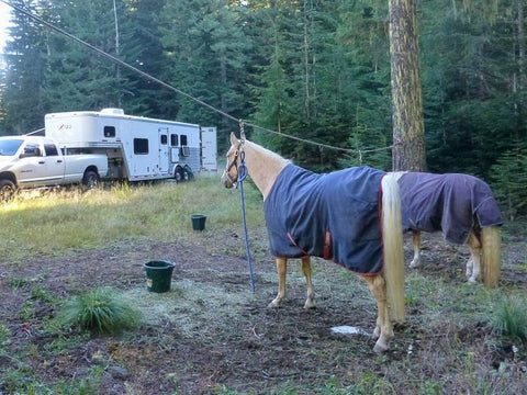 Indian Heaven Wilderness, Placid Lake