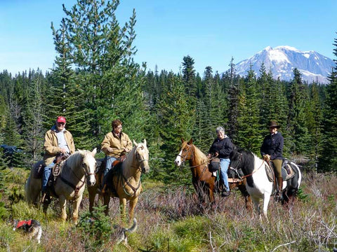 Indian Heaven Wilderness, Placid Lake Trailhead