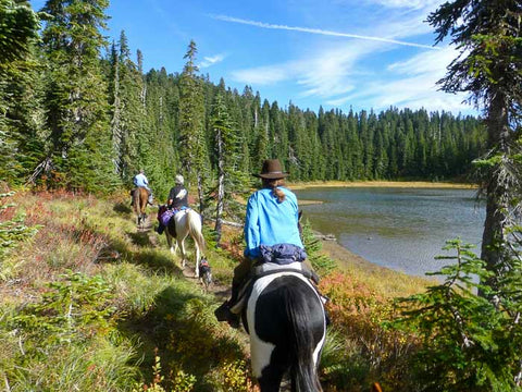 Indian Heaven Wilderness, Placid Lake Trailhead