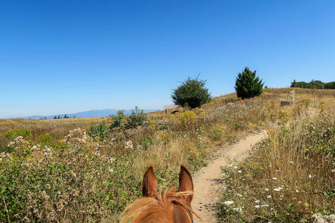 Powell Butte