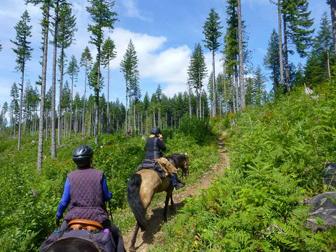 Sahara Creek Horse Camp