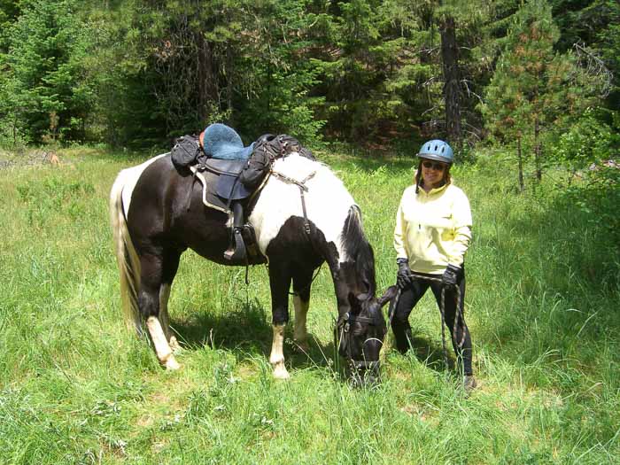 Sam Brown Horse Camp