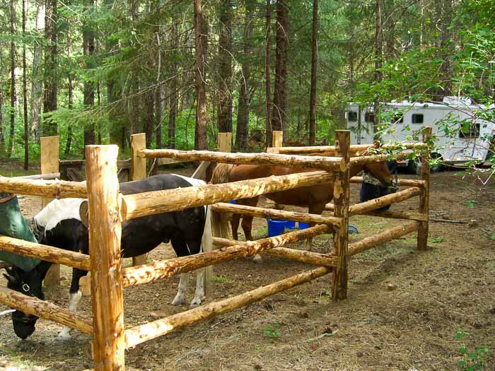 Sam Brown Horse Camp