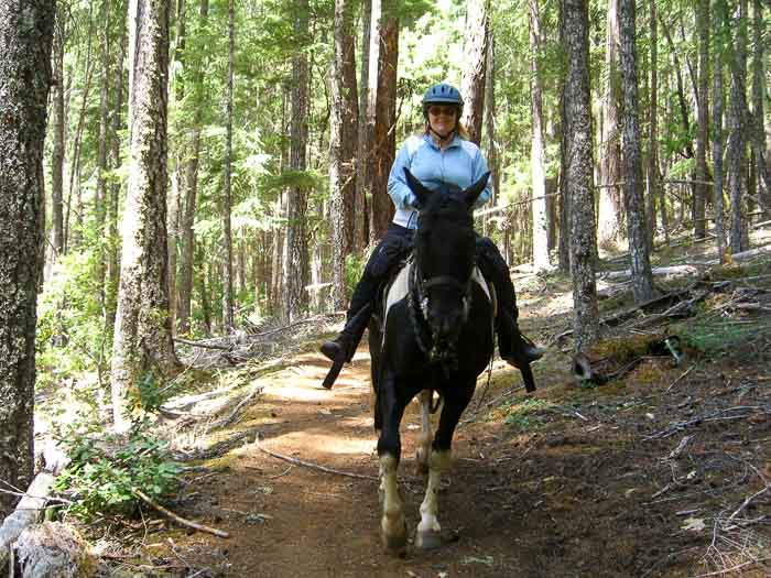 Sam Brown Horse Camp