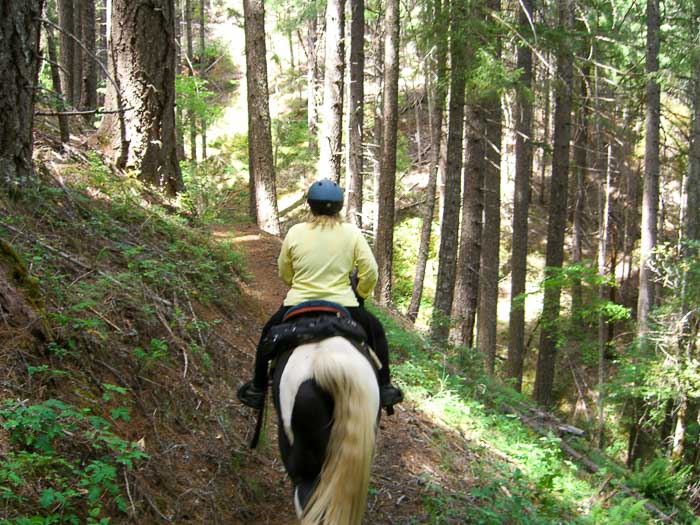 Sam Brown Horse Camp