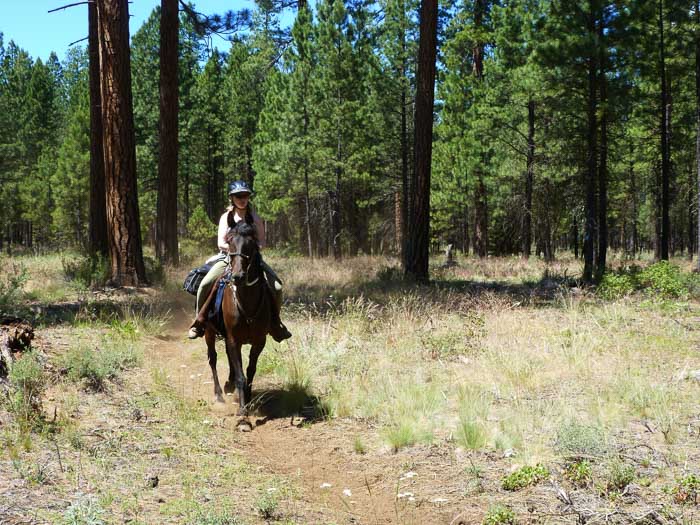 Sheep Springs Horse Camp