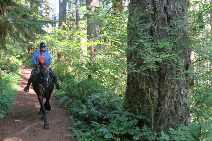 Silver Falls State Park