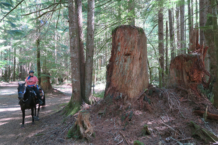 Silver Falls State Park