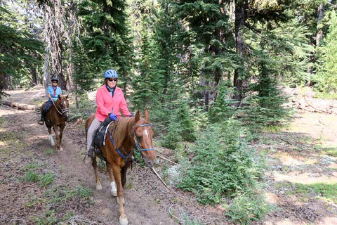 Tam Rim Horse Trail at Three Creek Meadow Horse Camp