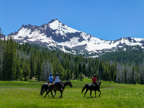 Three Creek Meadow Horse Camp