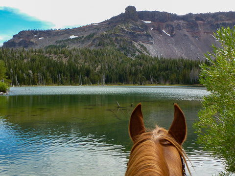 Three Creek Meadow Horse Camp