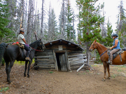 Three Creek Meadow Horse Camp