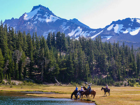 Three Creek Meadow Horse Camp