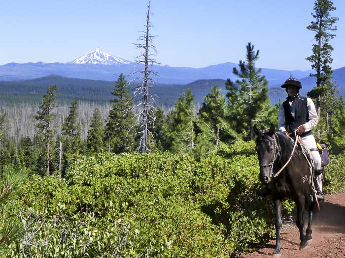 Whispering Pine Horse Camp