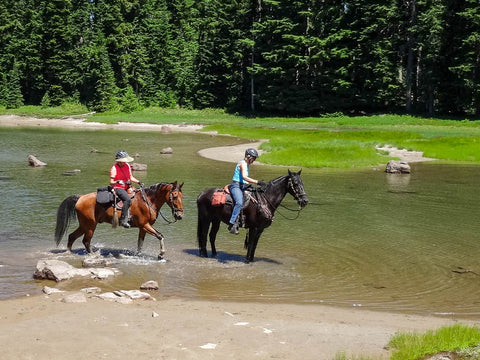 White Pass Horse Camp