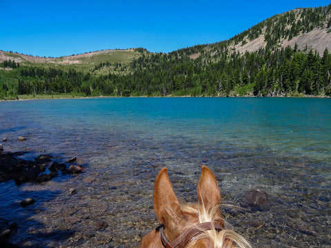 White Pass Horse Camp