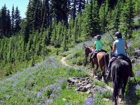 White Pass Horse Camp