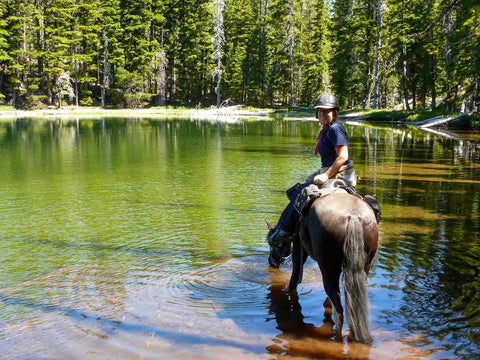 Whitefish Horse Camp