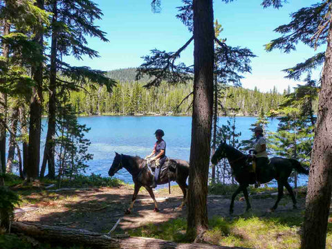 Whitefish Horse Camp